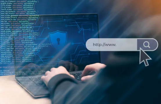 WordPress Security​